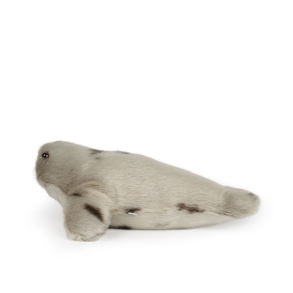 Small Seal Plushie in Seal Skin - Harp Seal - Image 2
