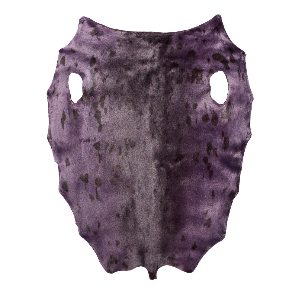 Harp Seal - Chinese Violet - C