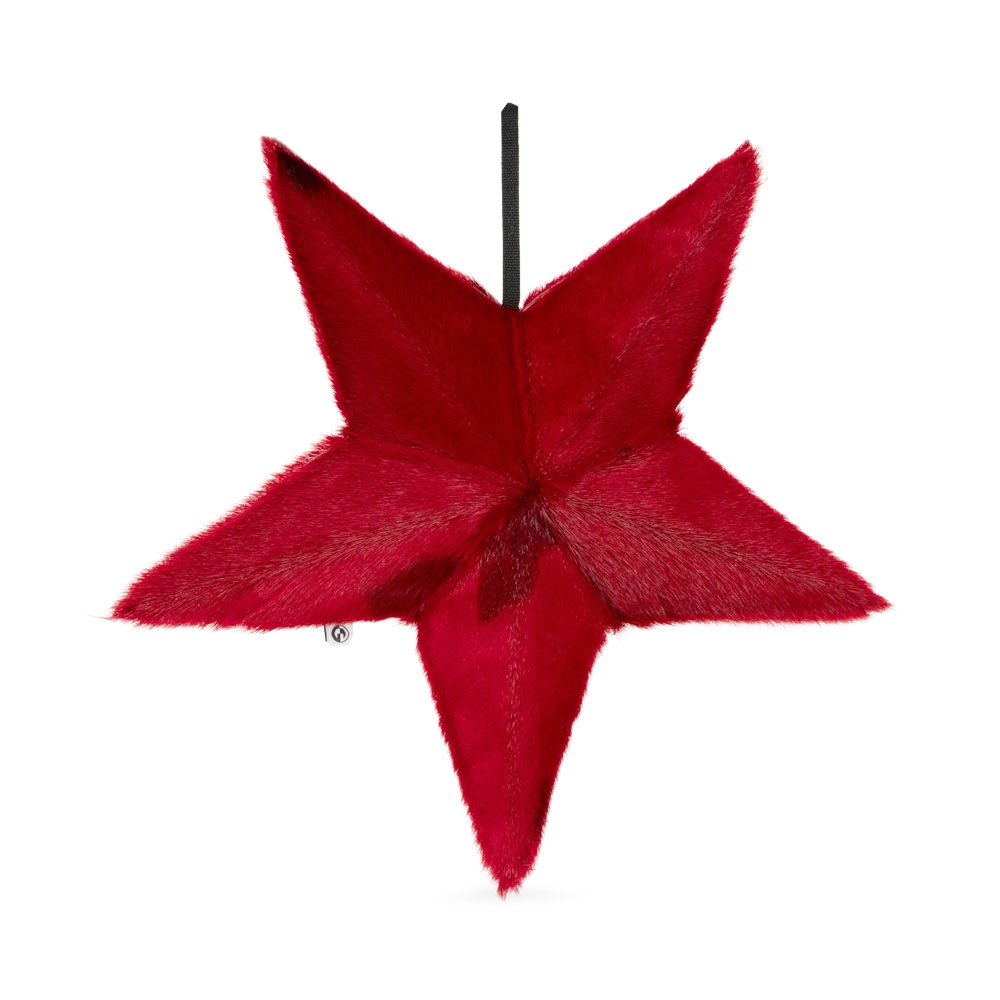 Large 3D Star with Filling - Red