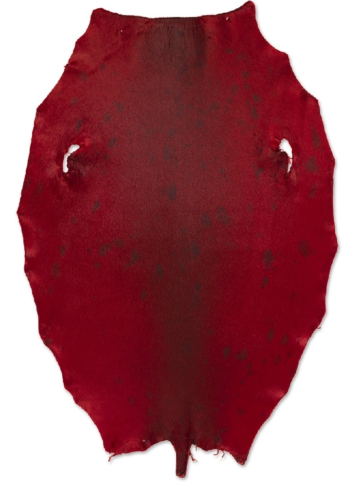 grl-sa_red1