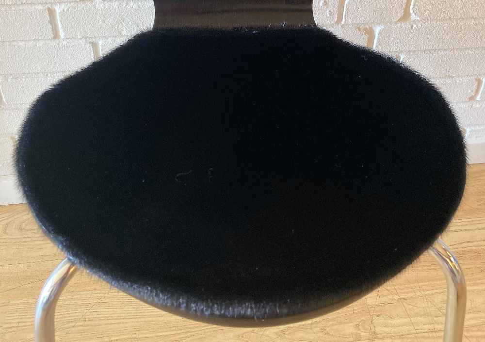 241129598_3040656102924988_8421717588205019994_n