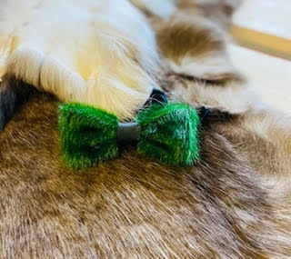 butterflygreen