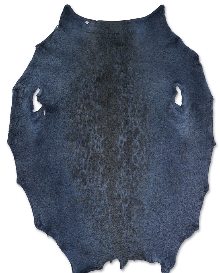 net-lh_blue-berr