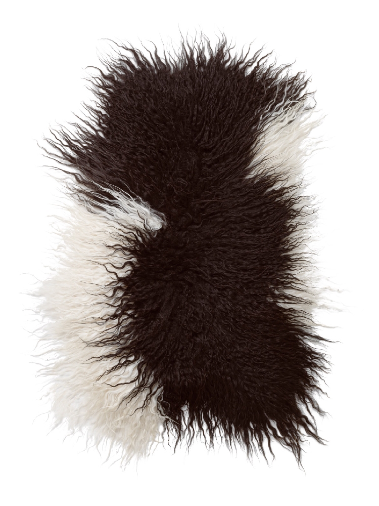 skind-2